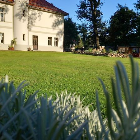 Ferienwohnung Gutshaus Klitzschen Mockrehna Exterior foto